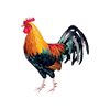 ไก่ชน category icon